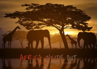Africa Inside Out Luxury Travel