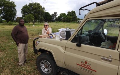 Chaka Africa Travel