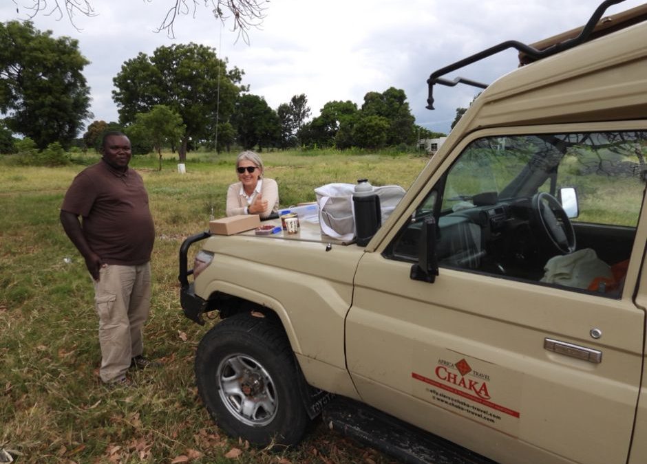 Chaka Africa Travel