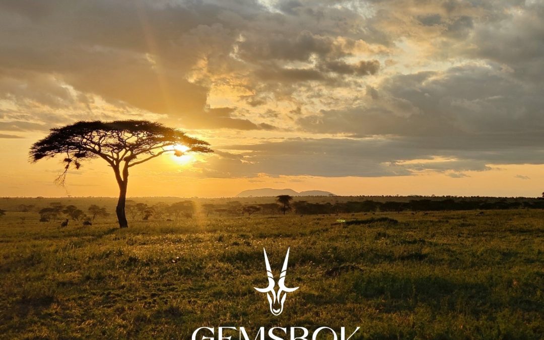 Gemsbok Reizen
