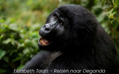 Elizabeth Tours – Oeganda, en alleen Oeganda