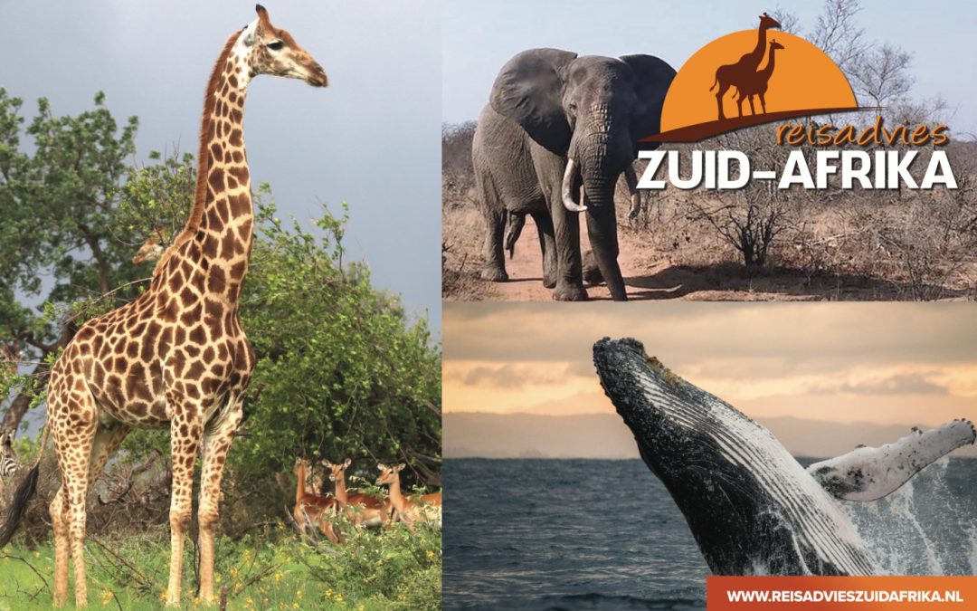 Reisadvies Zuid-Afrika
