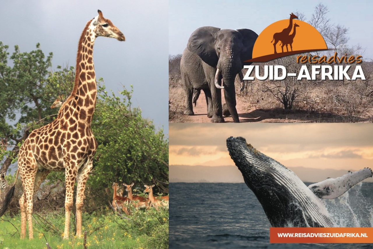 Reisadvies Zuid-Afrika - Reis Events
