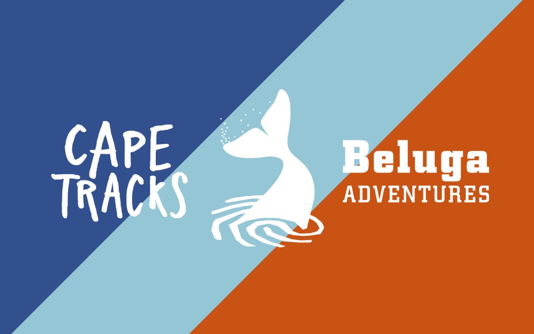 Cape Tracks