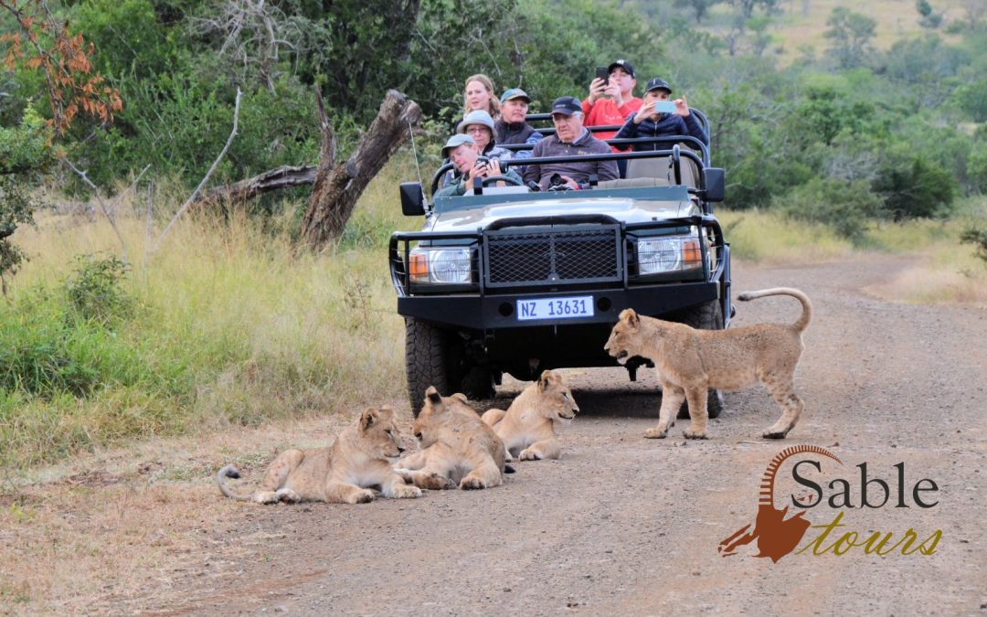 Sable Tours