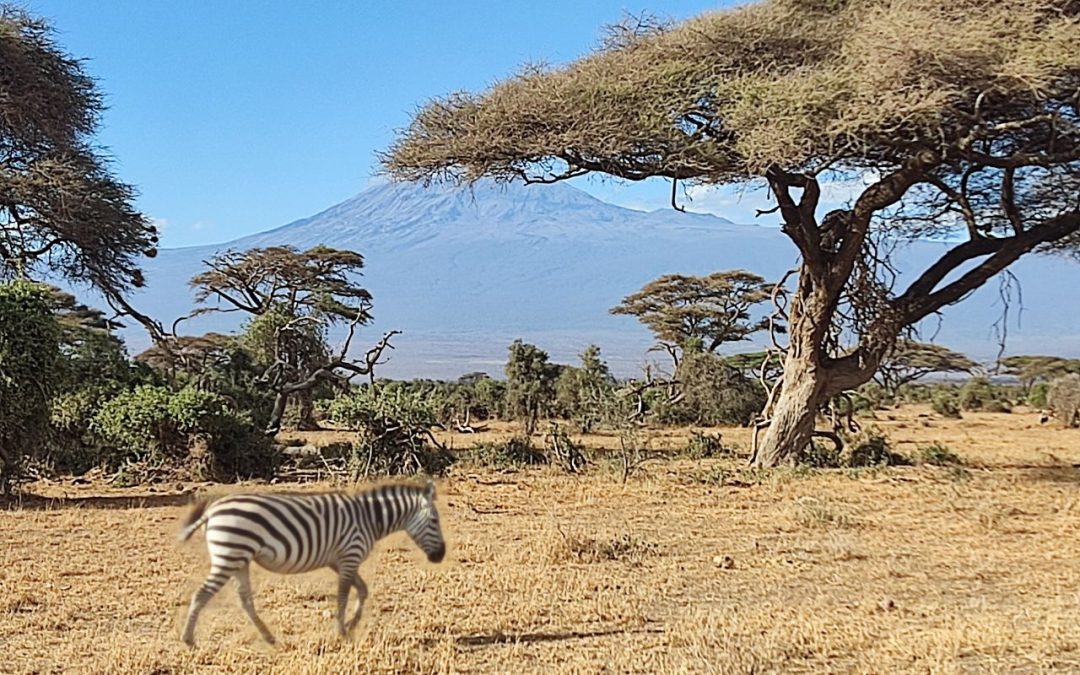 Kazuri Safaris