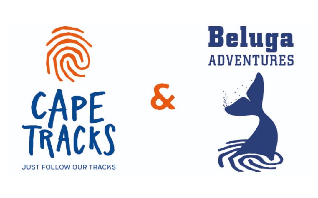 Beluga Adventures