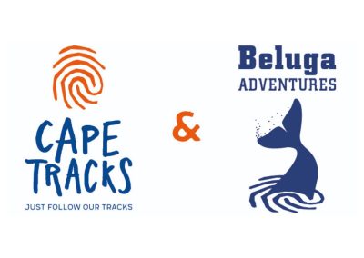 Beluga Adventures