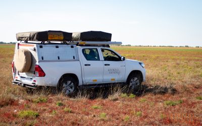 Khokelo Safaris