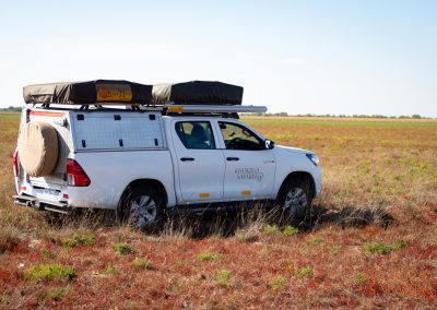 Khokelo Safaris