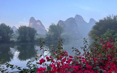 Lotus Tours
