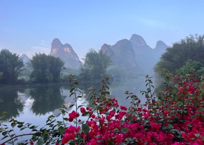 Lotus Tours