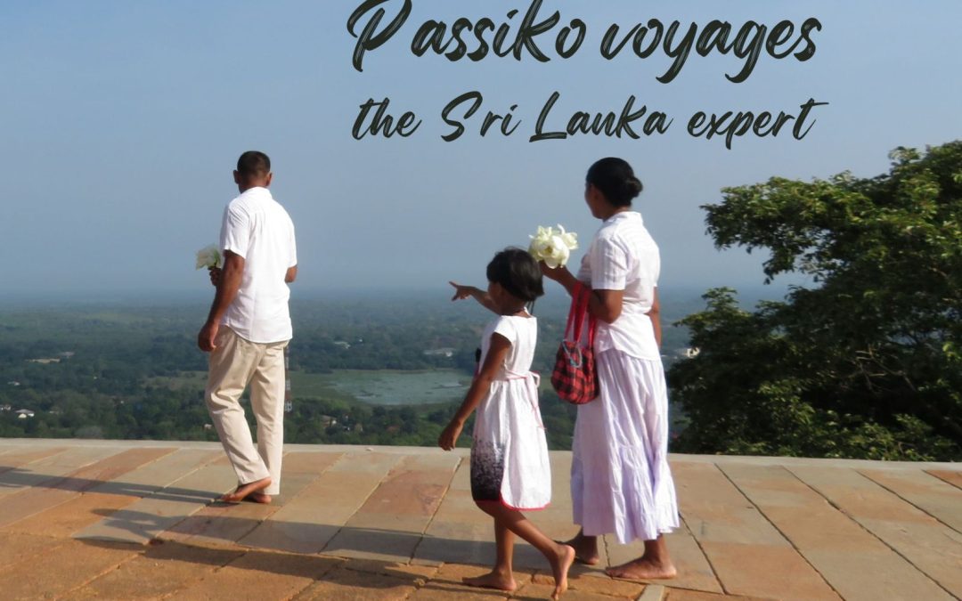 Passiko Voyages