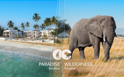 Paradise & Wilderness