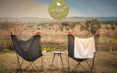 Siringit Safaris