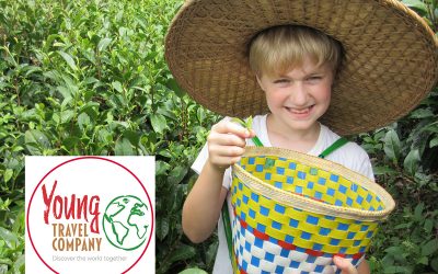 Young Travel Company